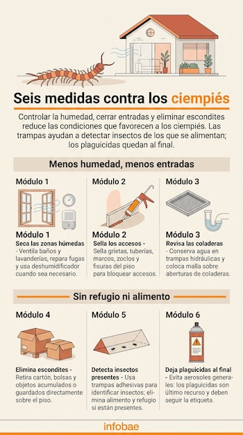 Ilustración de una casa y un ciempiés sobre seis módulos con ventana abierta, pistola de sellador, coladera, cajas, trampa y aerosol.