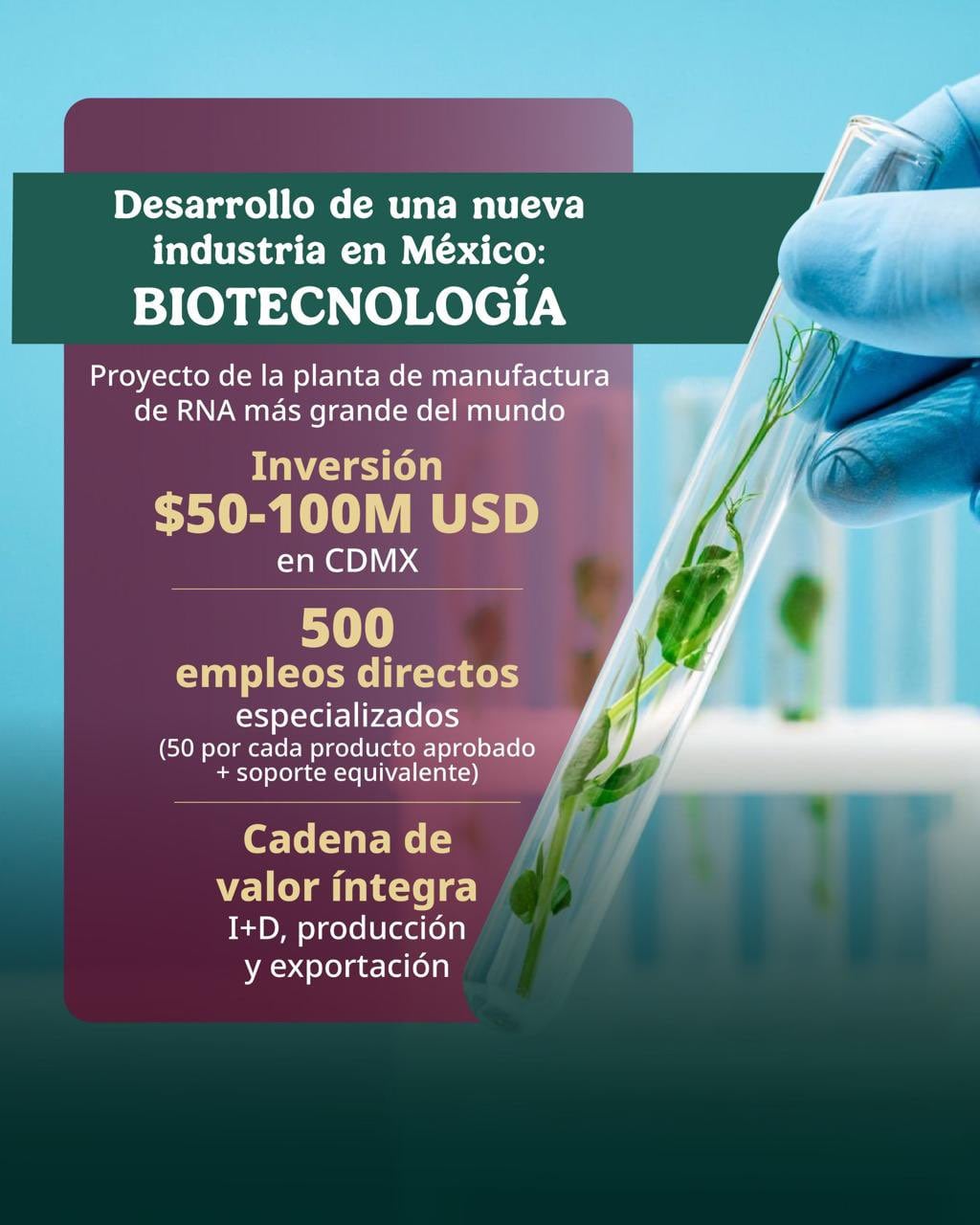 El producto es un hito para la biotecnología mexicana.
Crédito: X/ @SE_mx