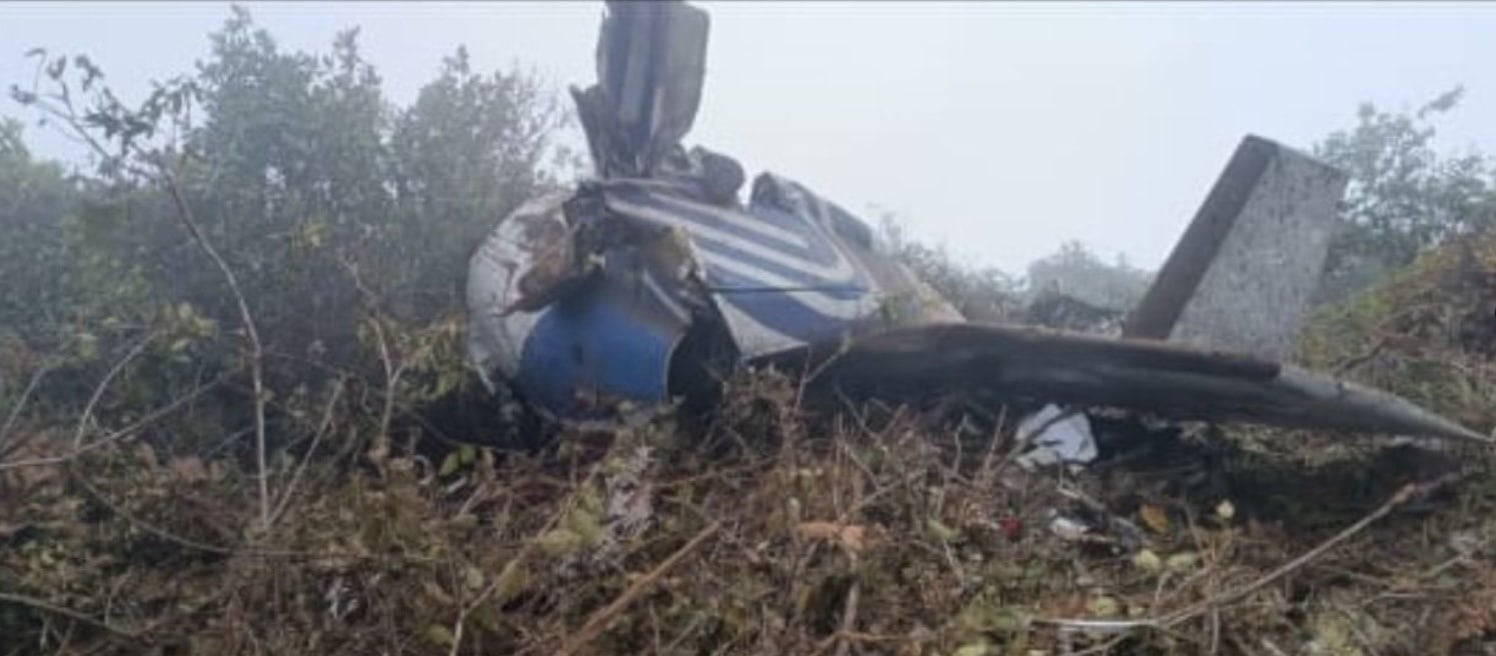 El avión desapareció durante horas de los radares. Fue hallado por la comunidad tras haberse accidentado - Suministrada a Infobae