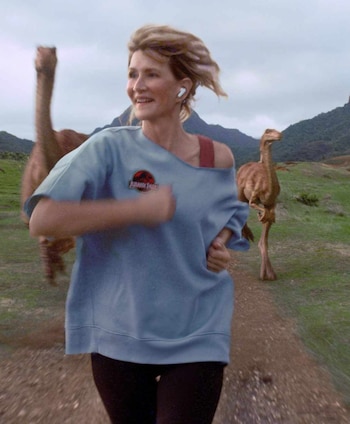 La campaña publicitaria dirigida por