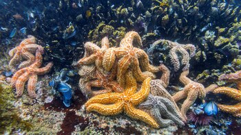 Un estudio sugiere que las