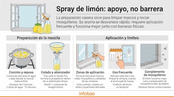 Infografía con ilustraciones y texto sobre la preparación de un spray de limón y sus zonas de aplicación en ventanas y mosquiteros.