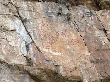 La medida surge tras una