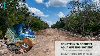¿Qué está pasando en Tulum? Sélvame Mx denuncia apertura ilegal de carretera sobre cenotes históricos