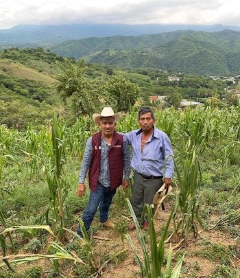 Sequía Edomex campo apoyos