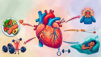 Alerta cardíaca: la enfermedad silenciosa que cambia sus síntomas todos los días y se agrava con el estrés