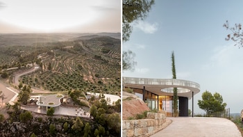 Cuadrat Valley, Mejor Almazara de España 2026
