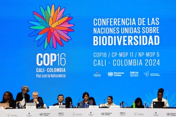 Colombia's Environment Minister Susana Muhamad