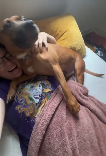 La mirada de Houdini cambió: