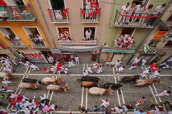 Mozos perseguidos por toros de