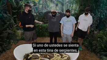 MrBeast ofreció 10 mil dólares