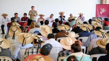 Gusano Barrenador Edomex reducción de casos