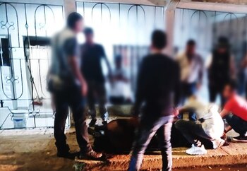 Animalistas rechazan la muerte de,