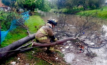 Bomberos de Bogotá reportaron varias