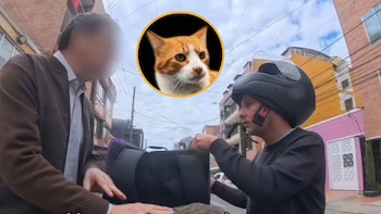 Domiciliario de Picap ‘boleteó’ a ciudadano que pretendía enviar un felino como si fuera una encomienda en Bogotá: “Con los gatitos no”
