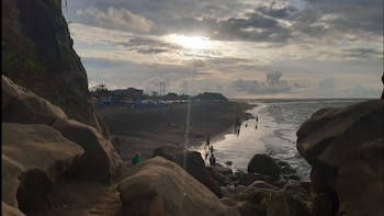 Entre julio y octubre se realizan salidas en lancha frente a las costas de Tumaco para el avistamiento de ballenas jorobadas - crédito Google Maps