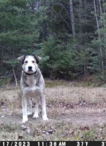 Deanna compartió algunas de las