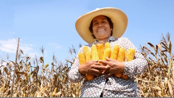 Los datos de la gremial