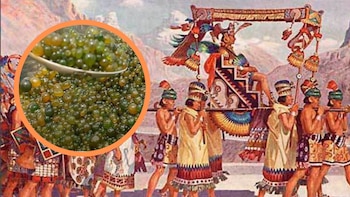 El cushuro, también llamado "caviar