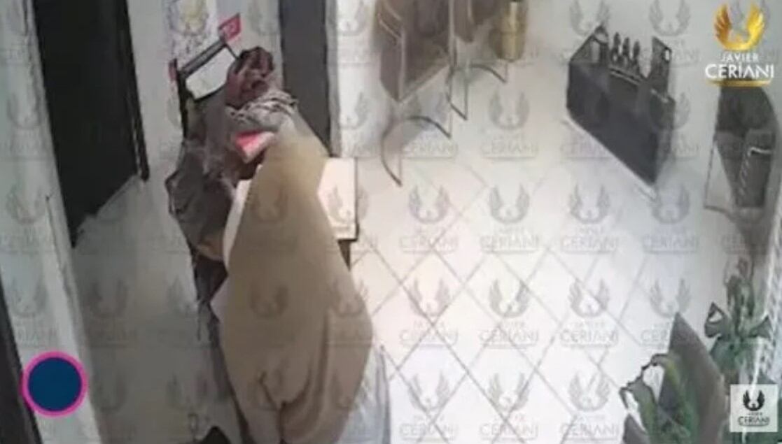 El spa afectado prioriza la recuperación de la computadora por la información que contiene, sin presentar denuncia formal (Recorte)