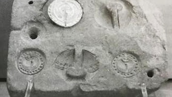 El estudio identifica circulación de