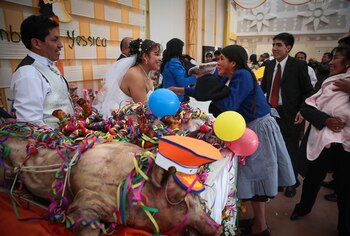 Los recién casados reciben regalos