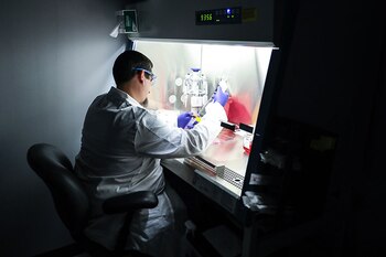 Las terapia que desarrolla BlueRock