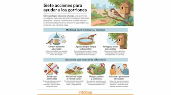 Infografía con ilustraciones de gorriones, una persona, comederos, bebederos, nidos, insecticida, hojas y texto explicativo sobre su cuidado.