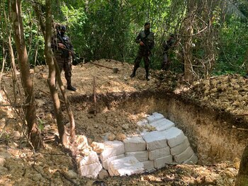 En 2019 las autoridades de