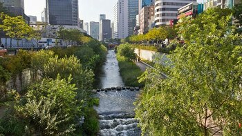 La revolución educativa, la clave