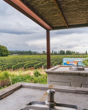 La bodega Matias Riccitelli, fundada