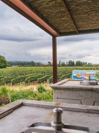 La bodega Matias Riccitelli, fundada en 2009, alcanzó el puesto 26, combinando creatividad y legado familiar en Luján de Cuyo