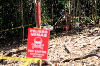 Una investigación de InSight Crime afirmó que el Ejército de Liberación Nacional (ELN) está involucrado en “todo tipo de economías criminales” a lo largo de la frontera entre Colombia y Venezuela (EFE/Ricardo Maldonado Rozo/Archivo)