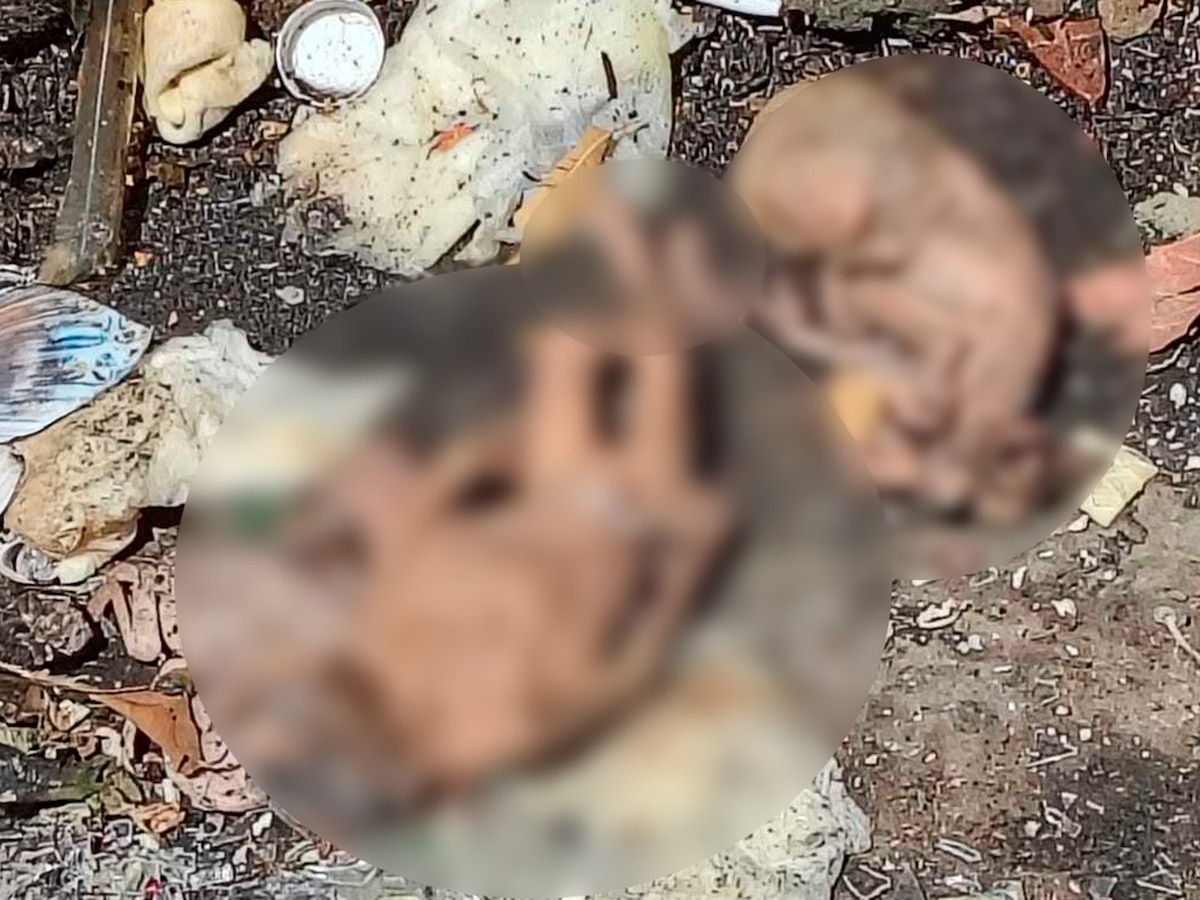 Horror en Wilde: hallaron 6 fetos humanos dentro de un contenedor de basura - Infobae