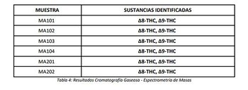 Fragmento de la pericia con