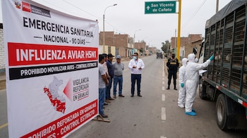 Banner de emergencia sanitaria por influenza aviar, personas con trajes de protección inspeccionan un camión con aves, policías, civiles y señal de tráfico.