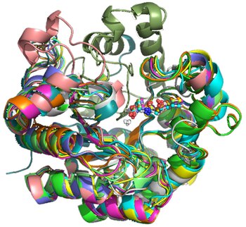 En la naturaleza cada partícula