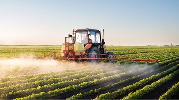 Los avances tecnológicos permiten a