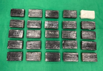 Cocaína incautada por la Aduana de Hong Kong en febrero de este año