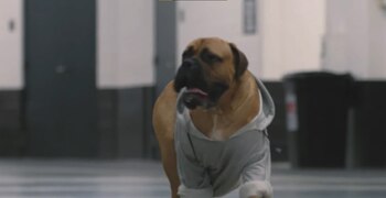 Murió a los 5 años