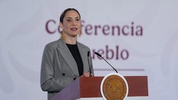 Colección Gelman está protegida por el INBAL pese a ser privada: Gobierno aclara medidas sobre repatriación y salida de patrimonio cultural