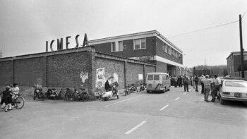 Un imagen de la planta