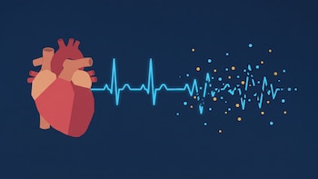 Cuando el ritmo del corazón cambia: qué son las arritmias y por qué puede ser difícil detectarlas