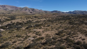 Con conocimiento del territorio y prácticas heredadas, las mujeres kollas desarrollan estrategias para sostener la resiliencia económica y ambiental ante los extremos que impone el clima del siglo XXI