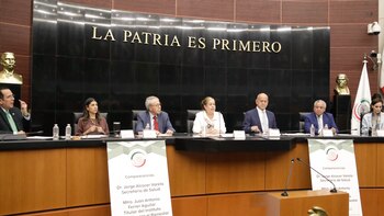 Senador de Morena dijo que