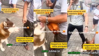 Denuncian maltrato animal en Bello, Antioquia: hombre amarró con una soga el hocico de un perro y le impedía respirar