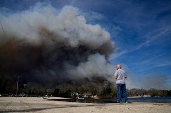 Las recomendaciones oficiales destacan la necesidad de retirar materiales combustibles y evitar arrojar colillas o hacer quemas cerca de zonas boscosas para prevenir incendios (REUTERS/Eduardo Muñoz)