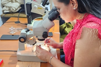 Procedimiento técnico para el reconocimiento, análisis y evaluación de los especímenes. (Mida)