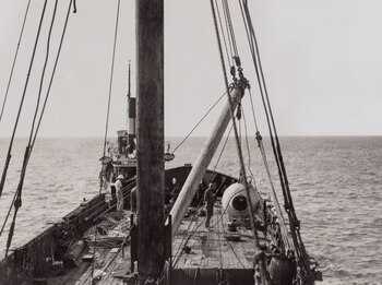 Entre arrecifes y aguas cristalinas,