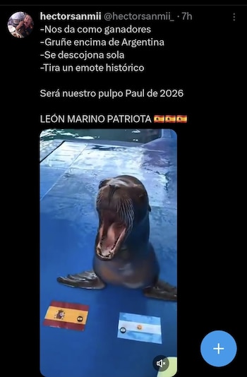 Memes final España - Argentina